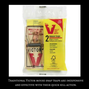 Effective and inexpensive Victor mouse snap traps